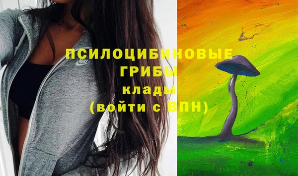 амф Алексин