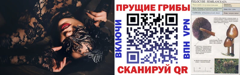 Галлюциногенные грибы мухоморы  MEGA зеркало  Спасск 