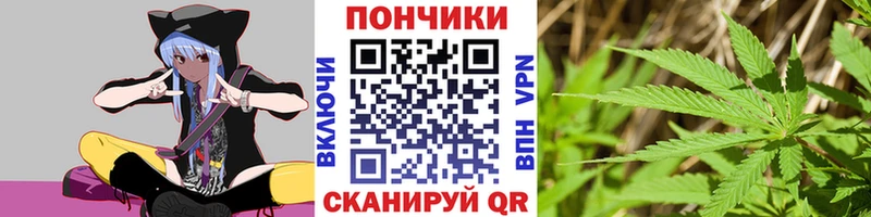 купить   Спасск  Канабис сатива 